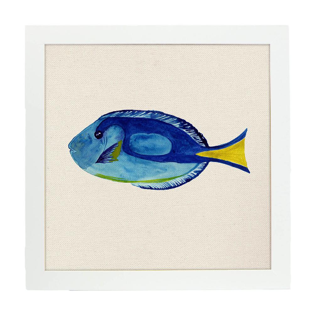 Nacnic Lámina Ilustrada De Peces Azulón