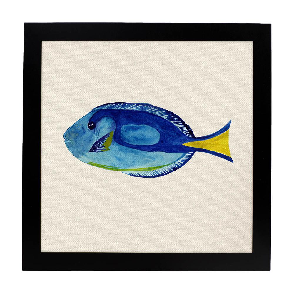 Nacnic Lámina Ilustrada De Peces Azulón