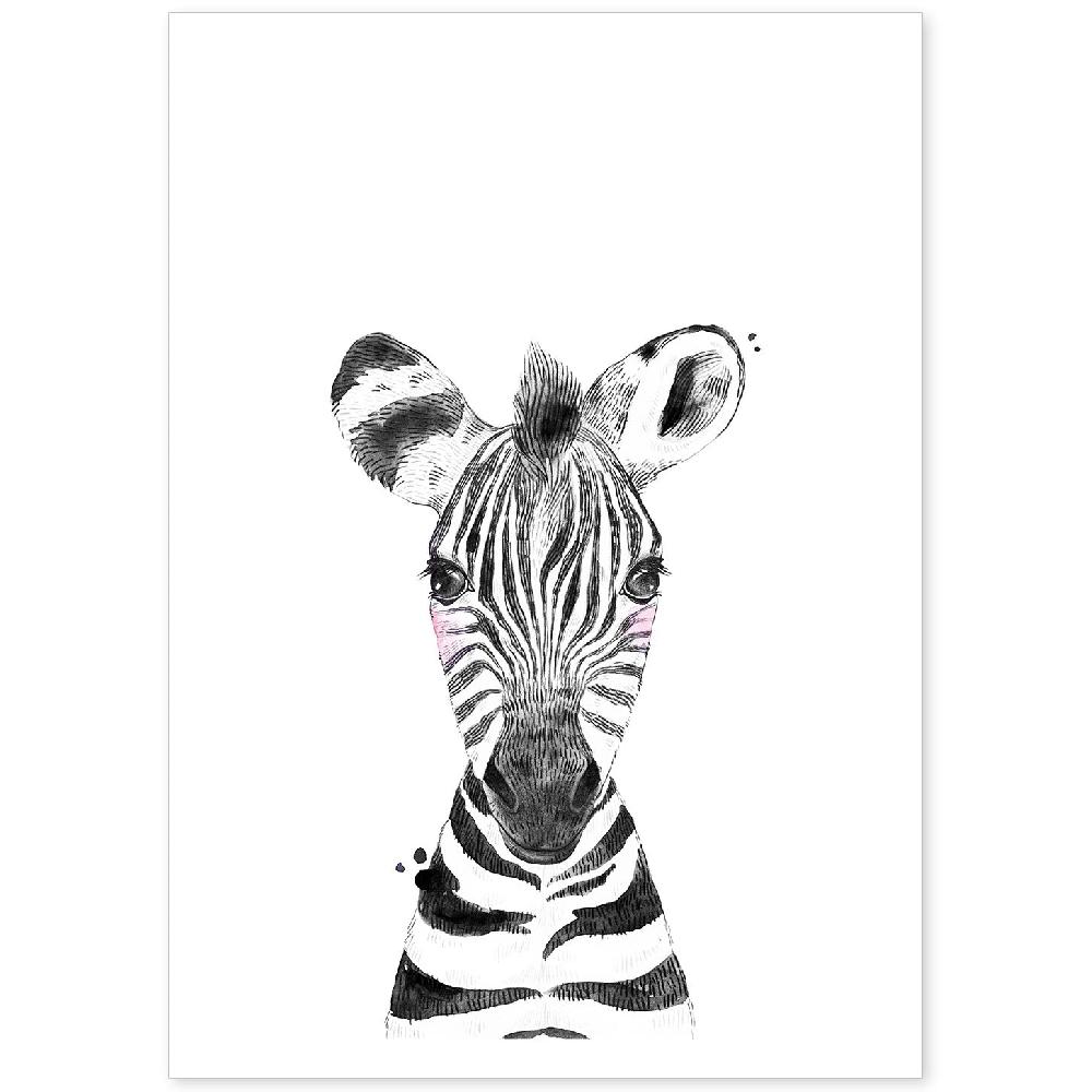 nacnic Lámina Infantil de Cebra en Blanco y Negro