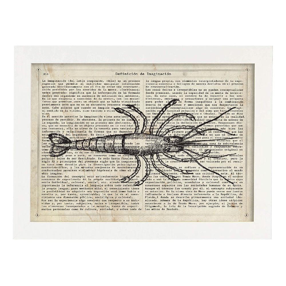 Nacnic Lámina Langosta Vintage De Objetos Antiguos