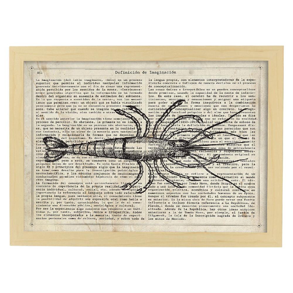 Nacnic Lámina Langosta Vintage De Objetos Antiguos