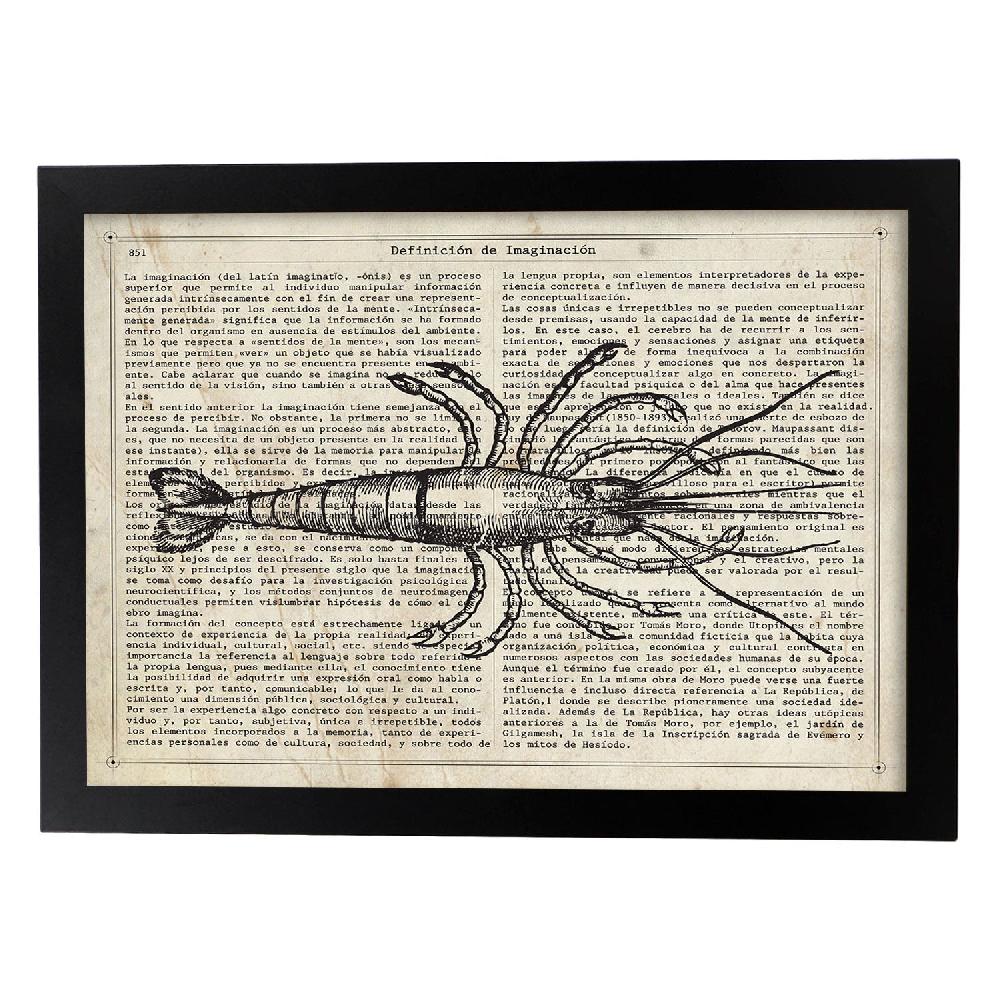 Nacnic Lámina Langosta Vintage De Objetos Antiguos