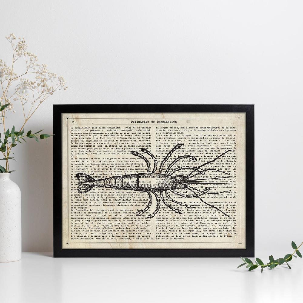 nacnic Lámina Langosta Vintage de Objetos Antiguos