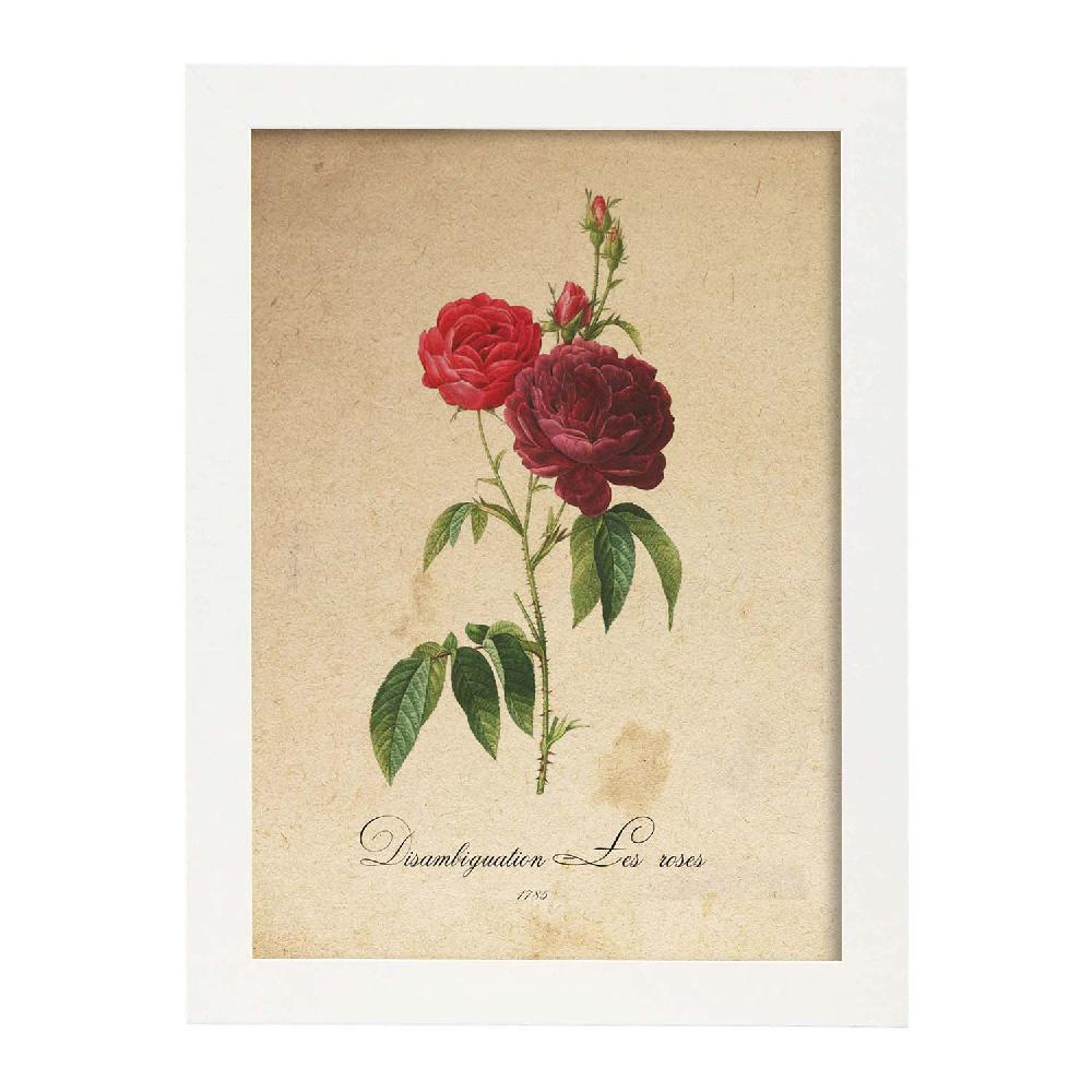 Nacnic Lámina Les Roses Vintage