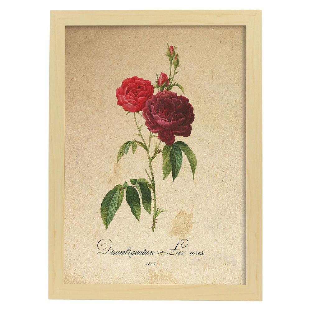 Nacnic Lámina Les Roses Vintage