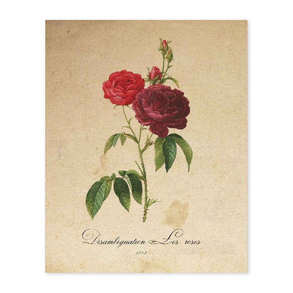 nacnic Lámina Les Roses Vintage