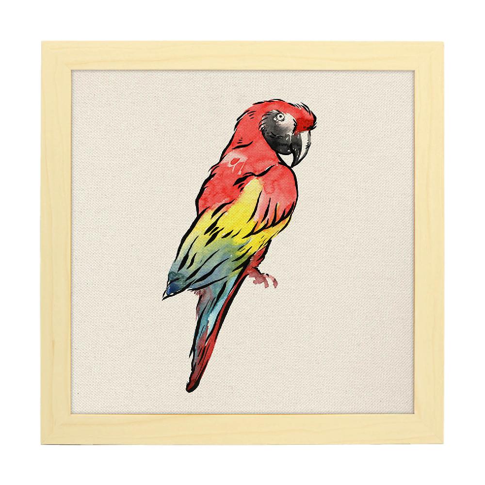 Nacnic Lámina Lorito Con Dibujos De Pájaros
