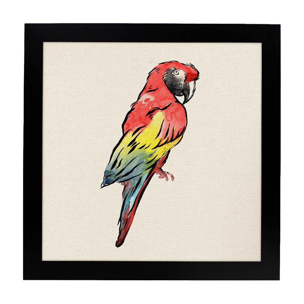 Nacnic Lámina Lorito Con Dibujos De Pájaros