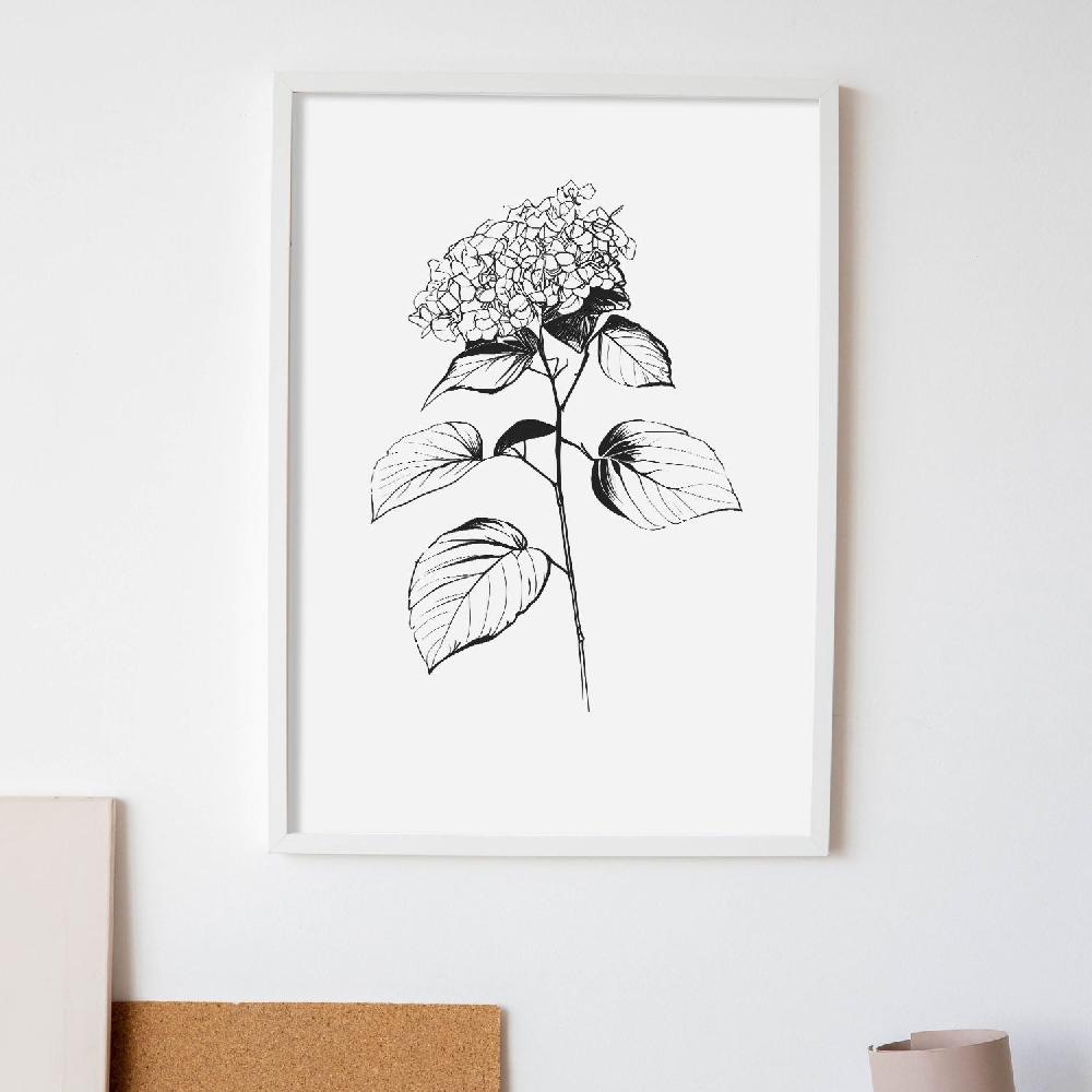 Nacnic Lámina Minimalista De Hortensia Nacnic
