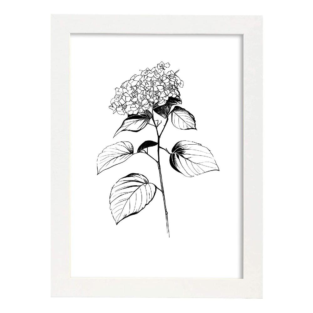 Nacnic Lámina Minimalista De Hortensia Nacnic