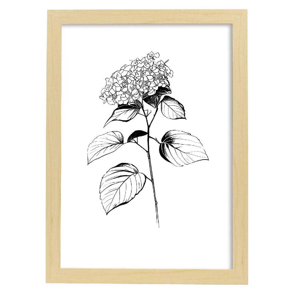 Nacnic Lámina Minimalista De Hortensia Nacnic
