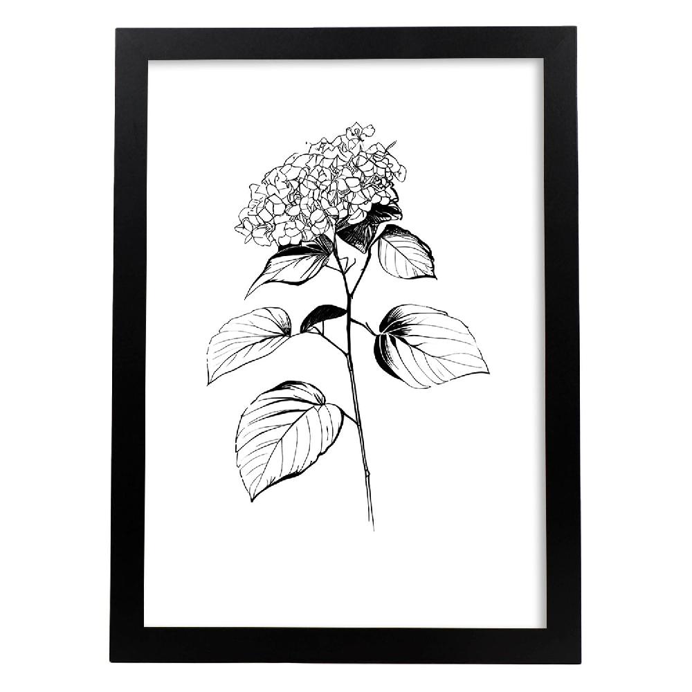 nacnic Lámina Minimalista de Hortensia Nacnic