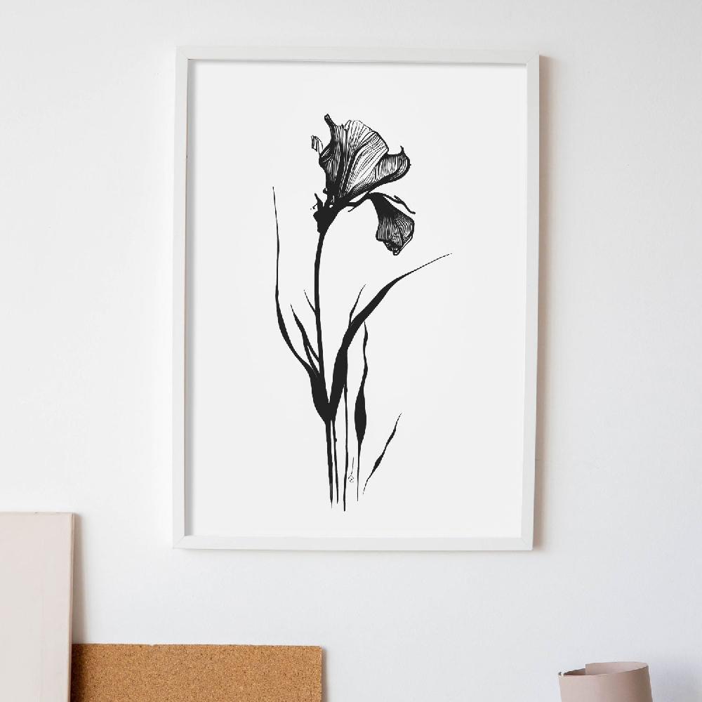 Nacnic Lámina Minimalista De Iris Nacnic
