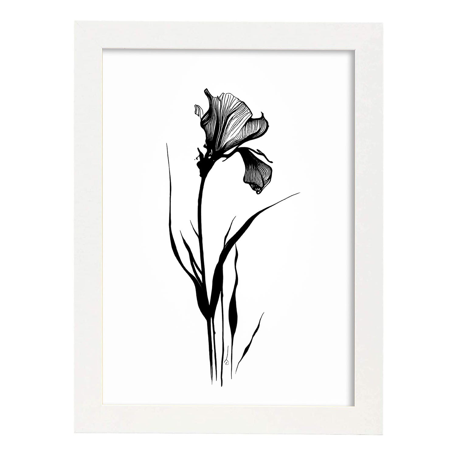 Nacnic Lámina Minimalista De Iris Nacnic