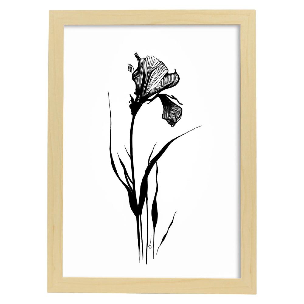 Nacnic Lámina Minimalista De Iris Nacnic
