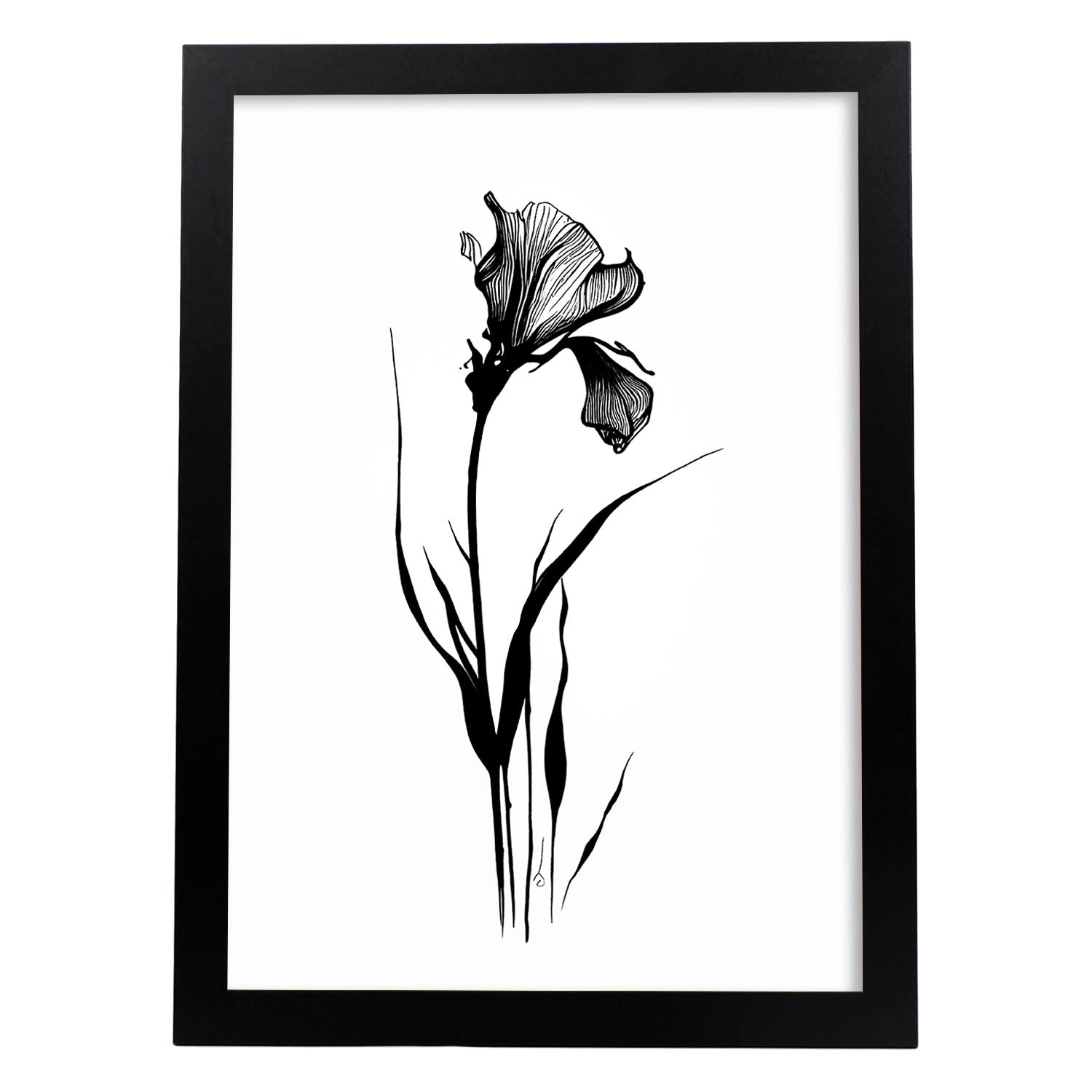 nacnic Lámina Minimalista de Iris Nacnic