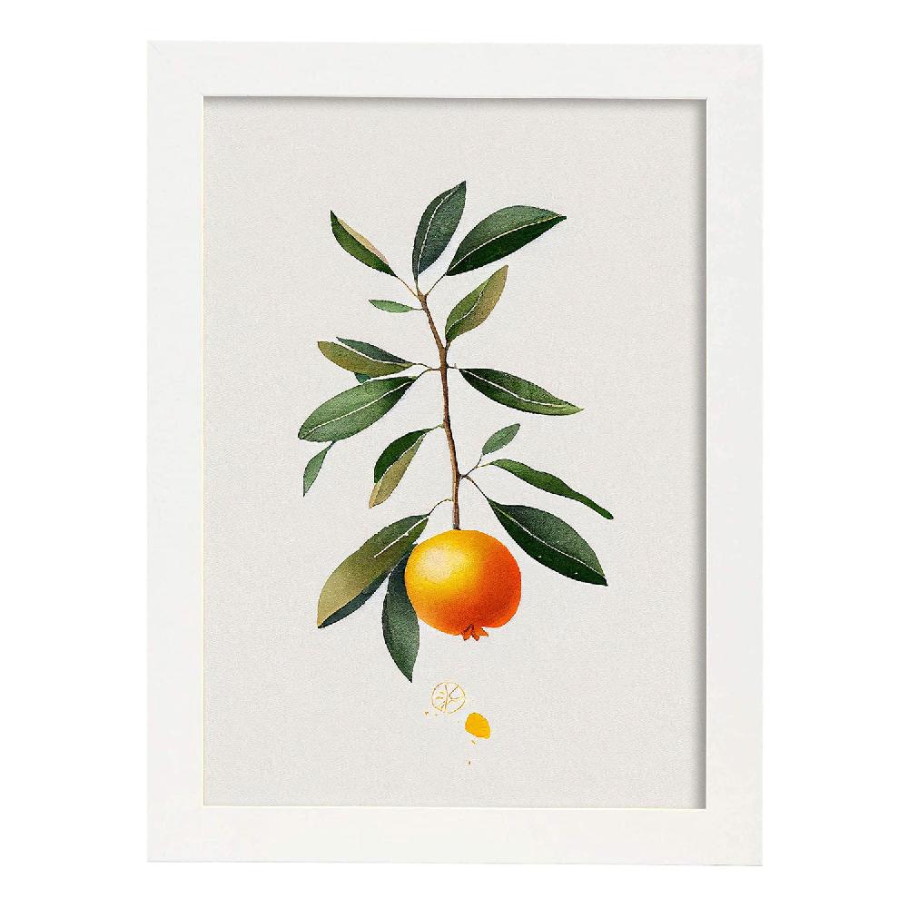 Nacnic Lámina Minimalista Nacnic Kumquat_1