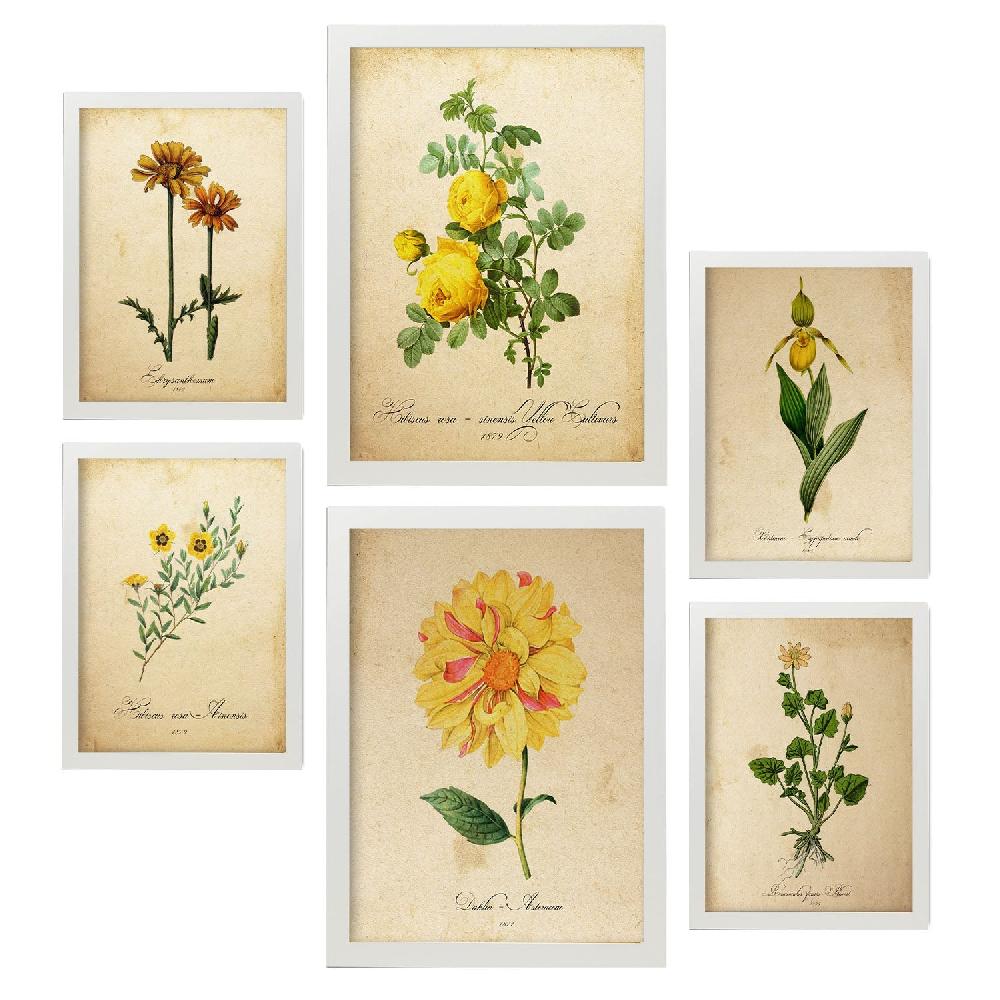 Nacnic Lámina Nacnic Botanica Amarillo