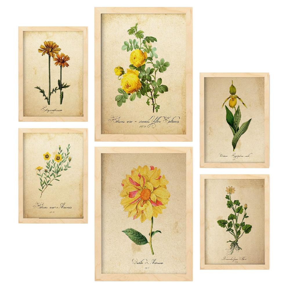 Nacnic Lámina Nacnic Botanica Amarillo