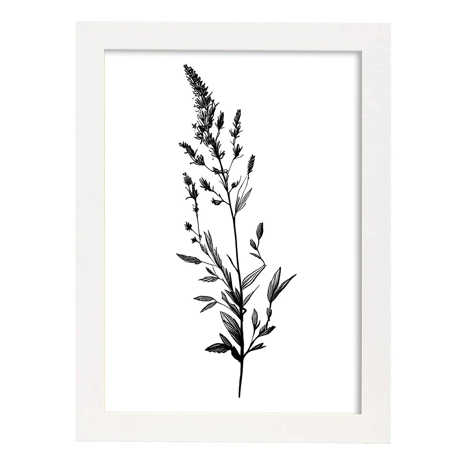 Nacnic Lámina Nacnic De Lavanda Arte Minimalista