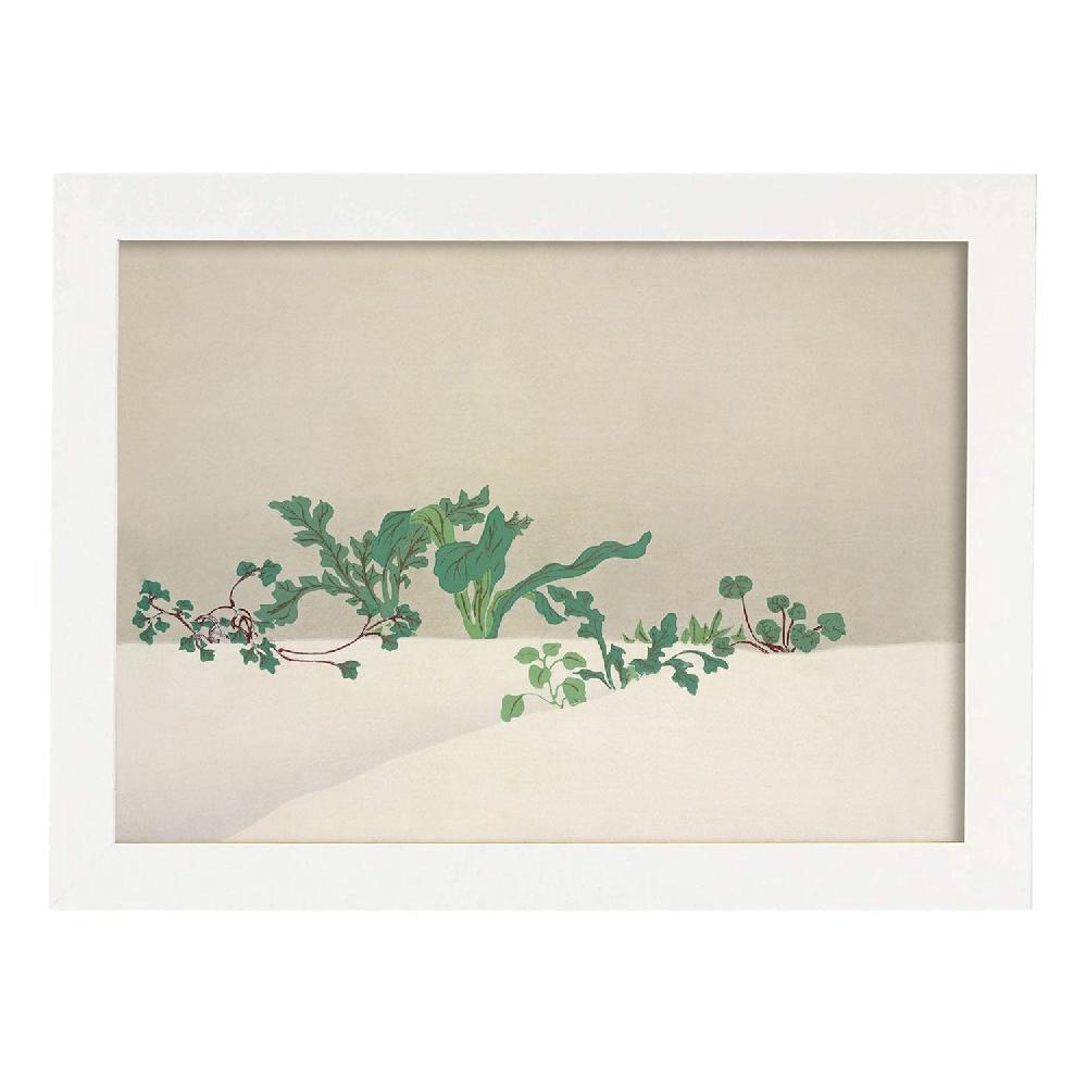 Nacnic Lámina Rinpa 36 Del Artista Kamisaka Sekka