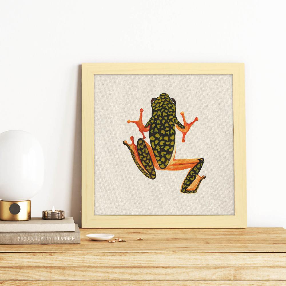 nacnic Lámina Salta Conmigo de Ranas y Tortugas