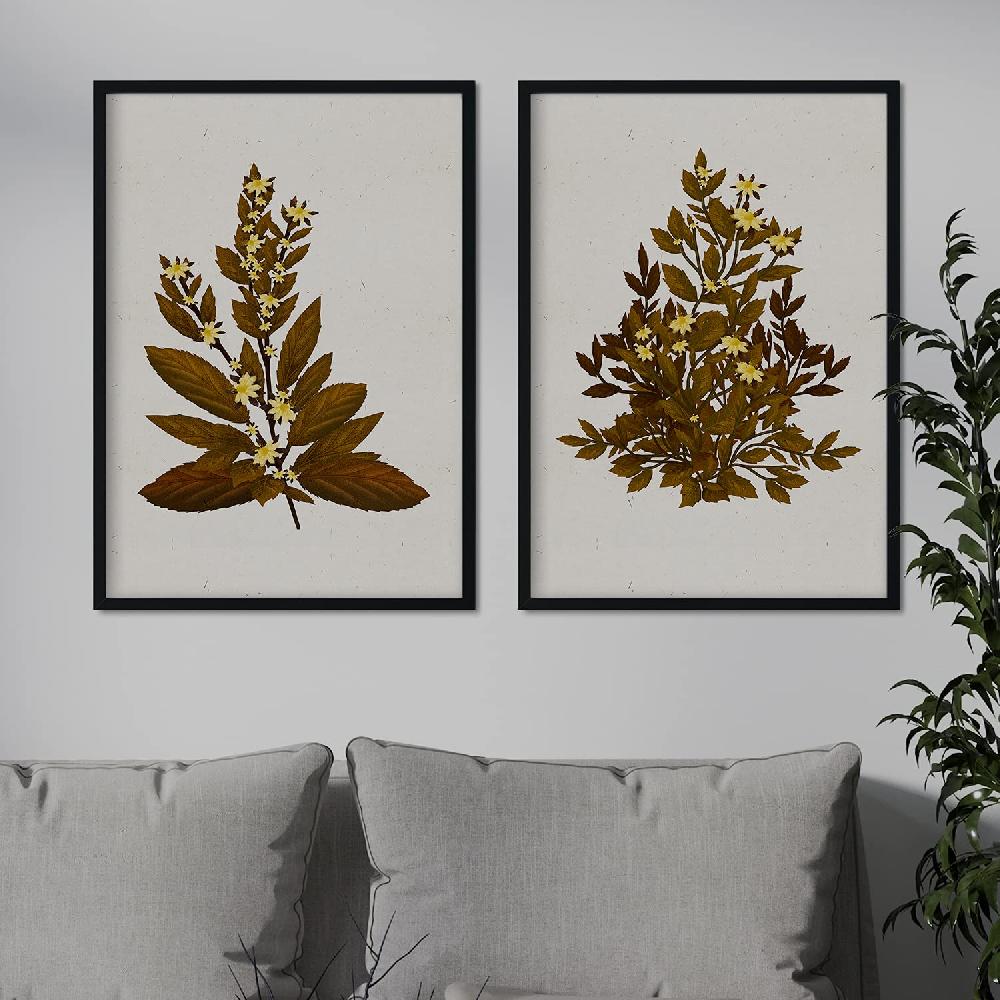 Nacnic Lámina Vintage De Arbusto 13