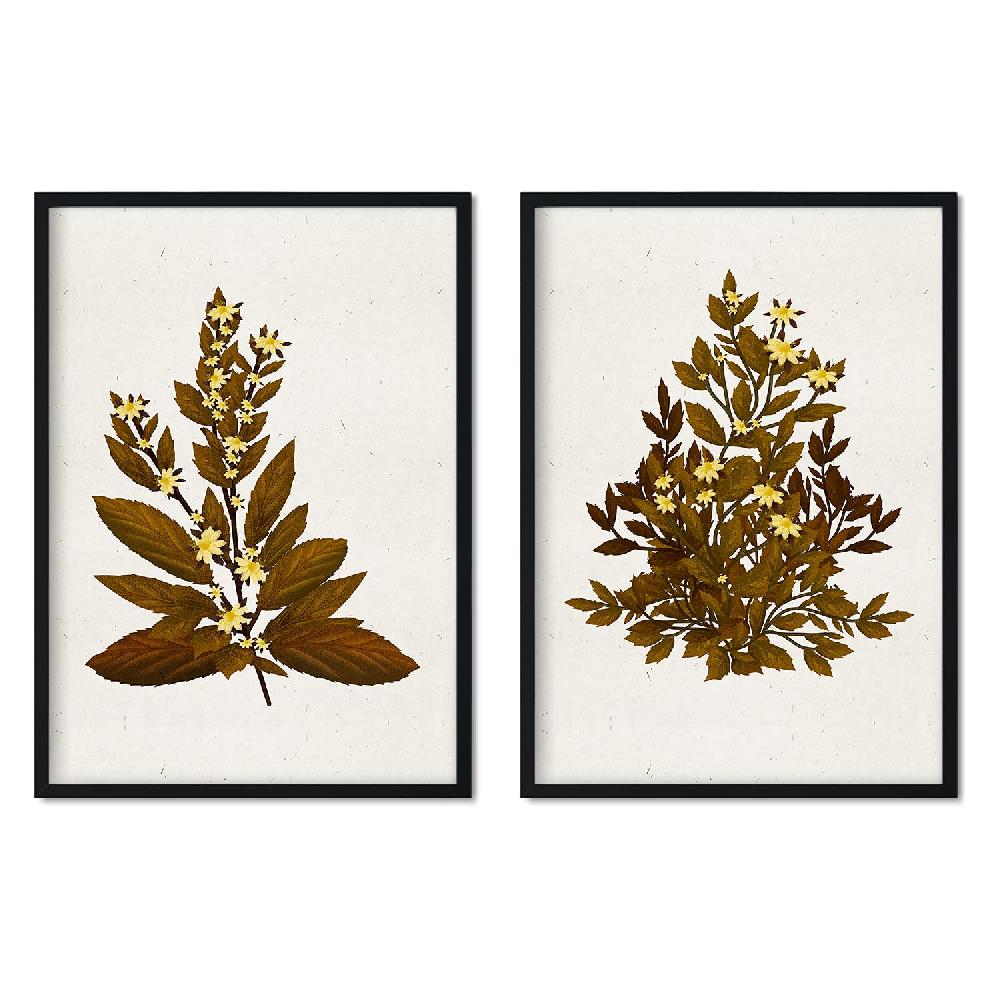 nacnic Lámina Vintage de Arbusto 13