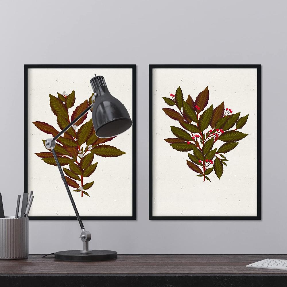 Nacnic Lámina Vintage De Arbusto 14