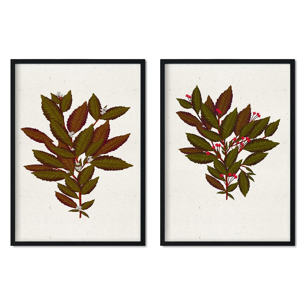 nacnic Lámina Vintage de Arbusto 14