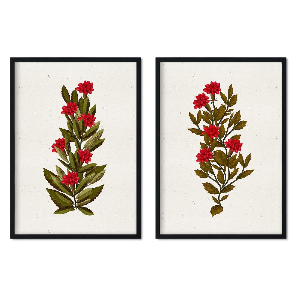 nacnic Lámina Vintage de Arbusto 15