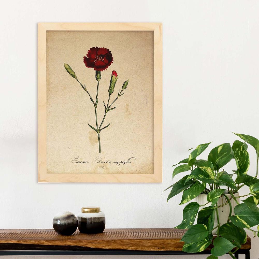 Nacnic Lámina Vintage De Clavel