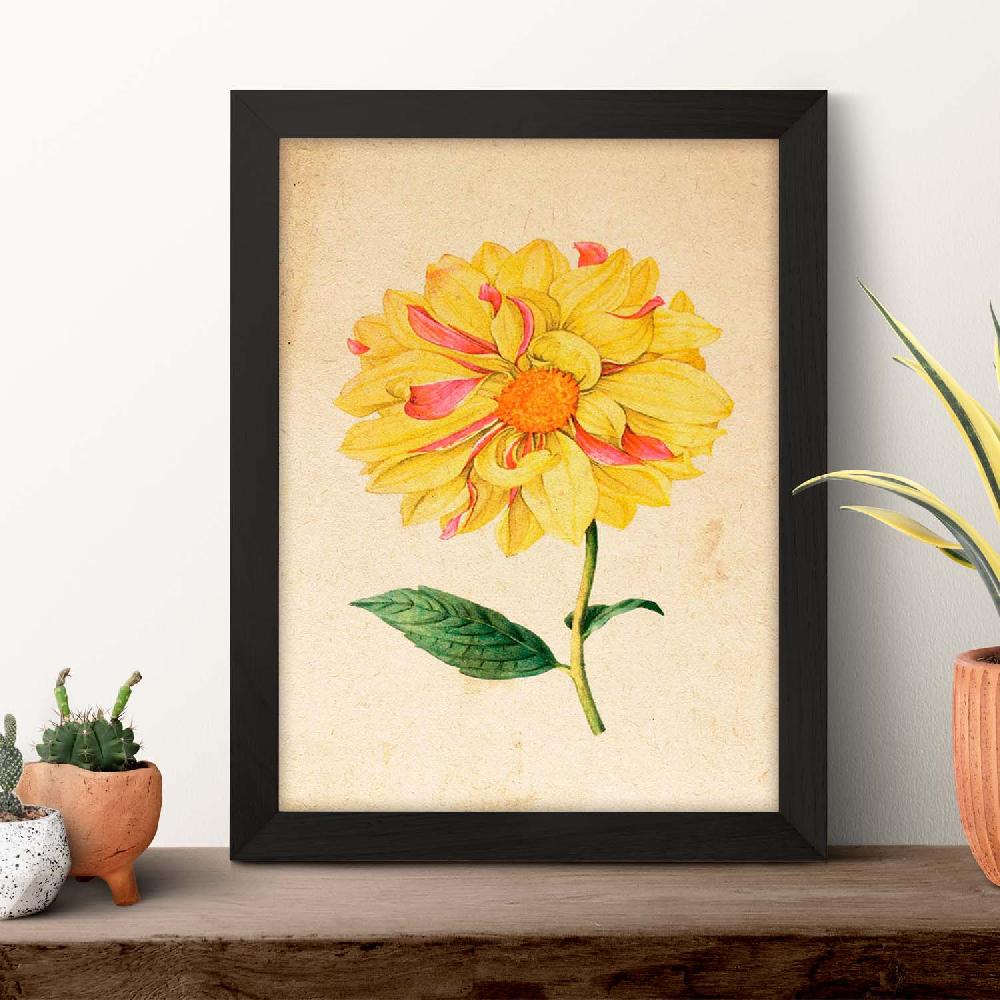 Nacnic Lámina Vintage De Dahlia