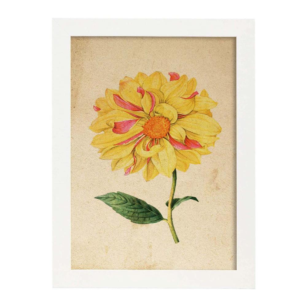 Nacnic Lámina Vintage De Dahlia