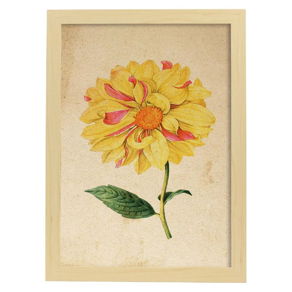 Nacnic Lámina Vintage De Dahlia