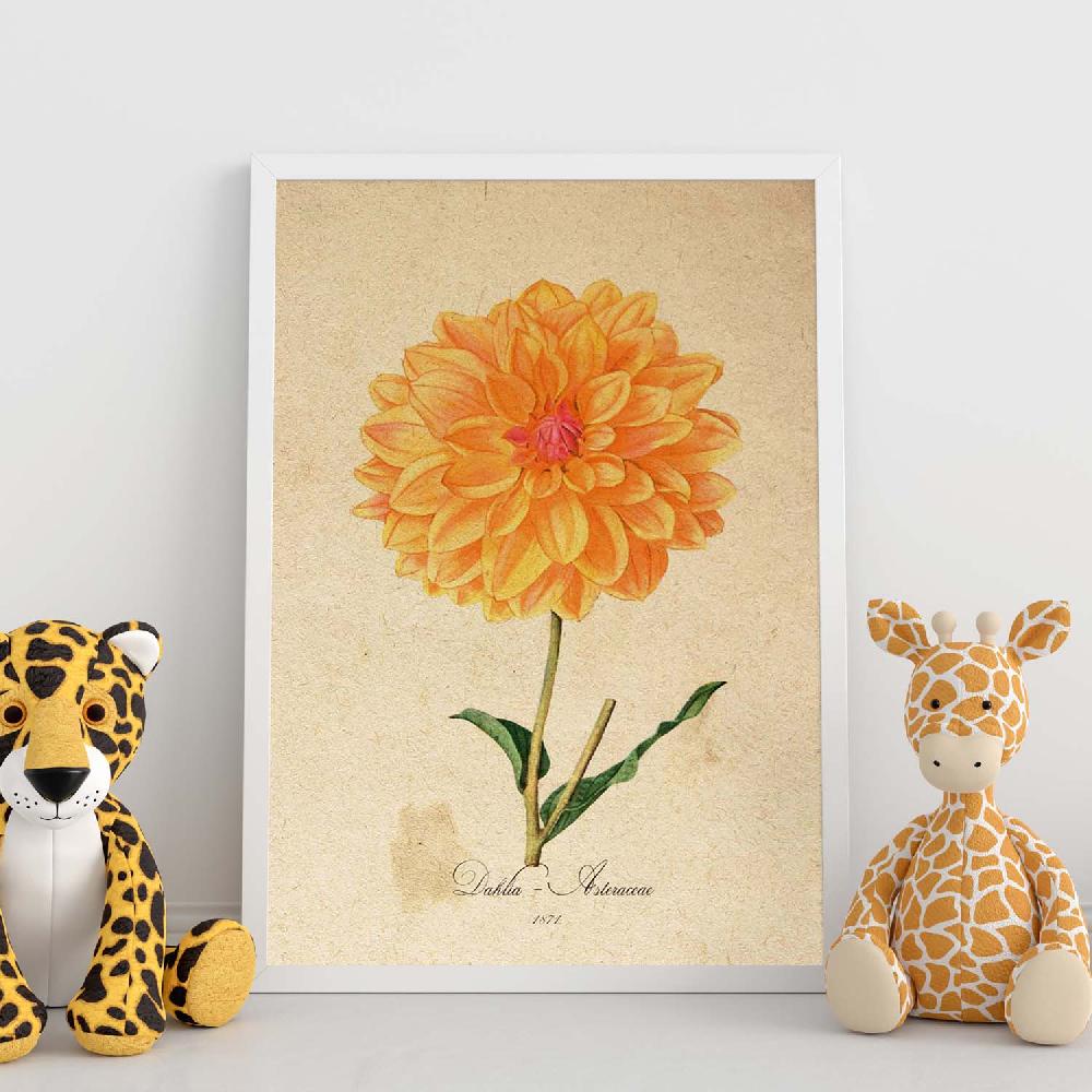 Nacnic Lámina Vintage De Dahlia Naranja