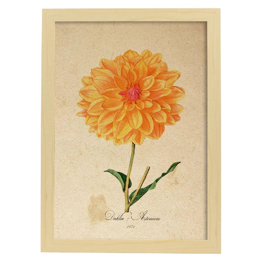 Nacnic Lámina Vintage De Dahlia Naranja