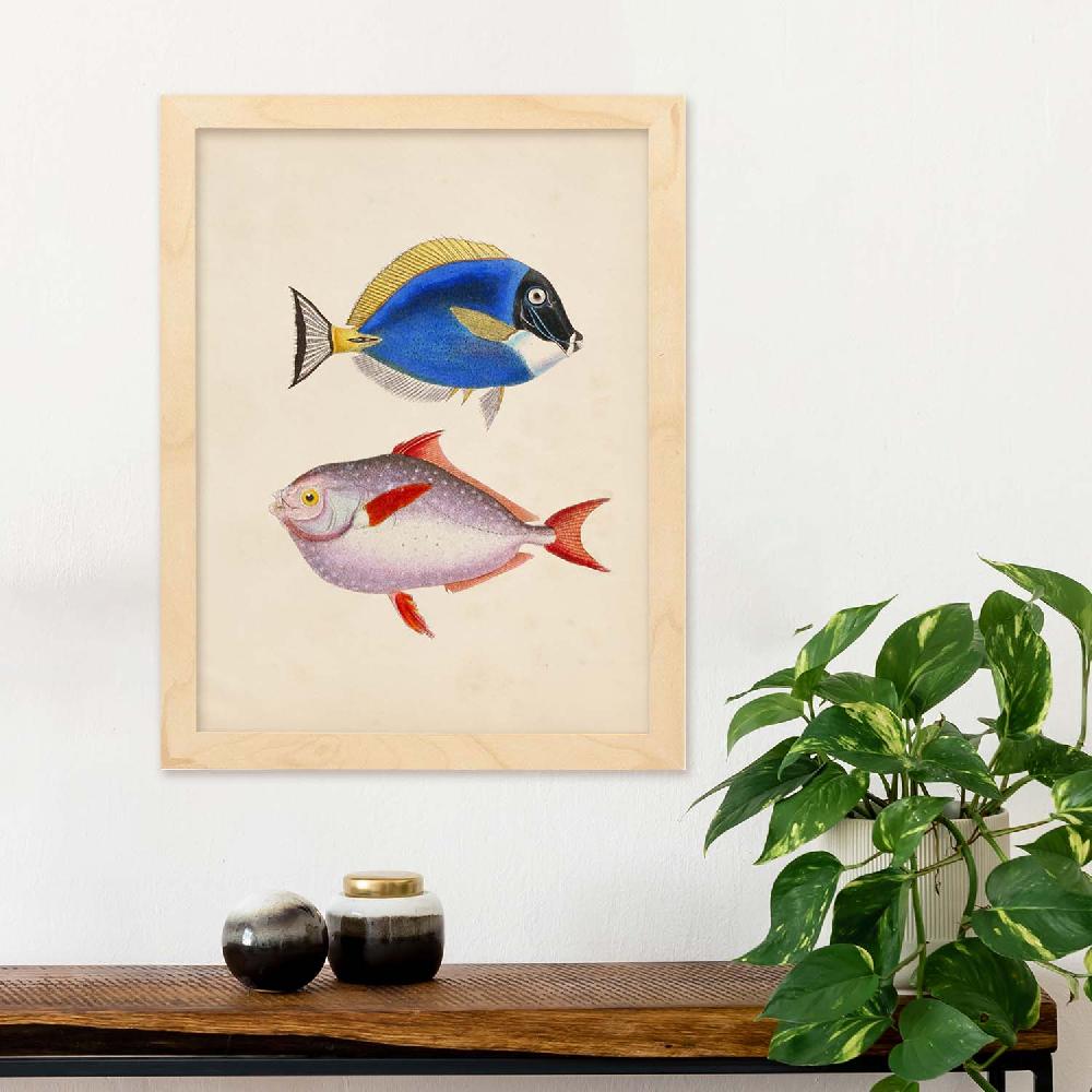 Nacnic Lámina Vintage De Dos Peces Multicolor