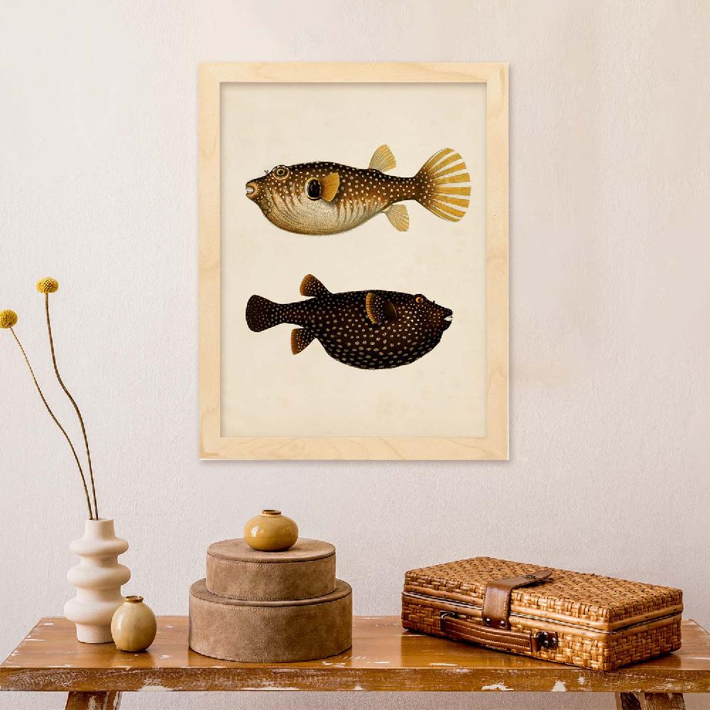 Nacnic Lámina Vintage De Dos Peces Multicolor