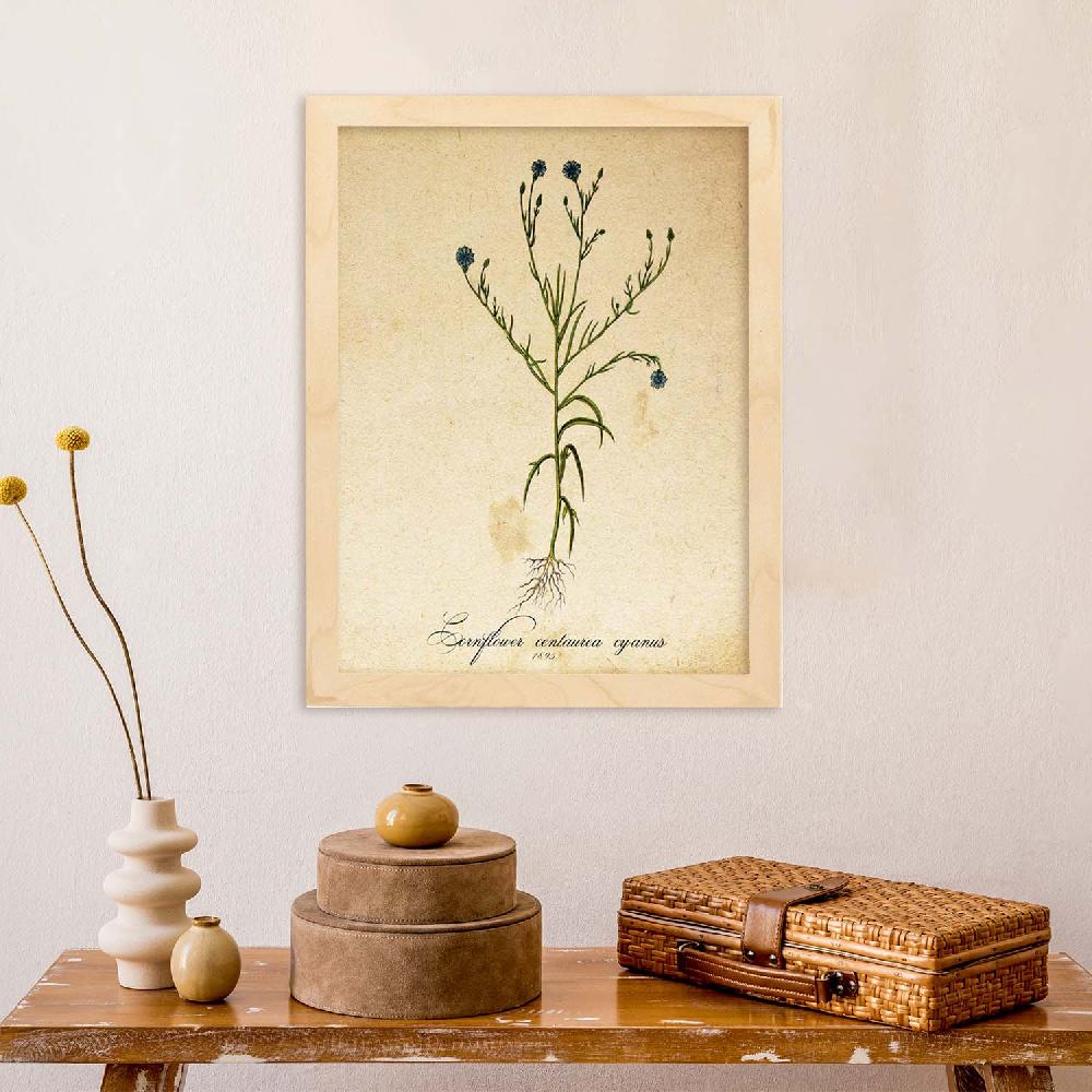 Nacnic Lámina Vintage De Flores Cornflower