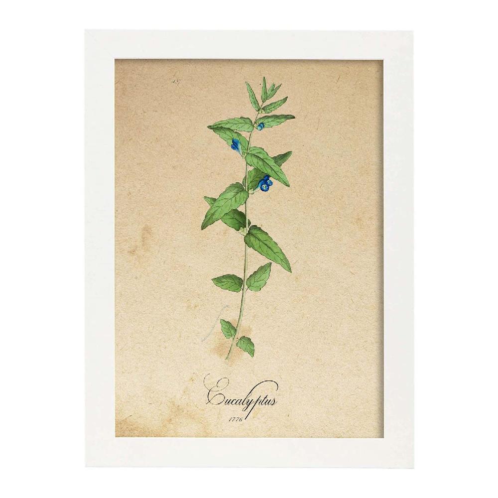 Nacnic Lámina Vintage De Flores Menta