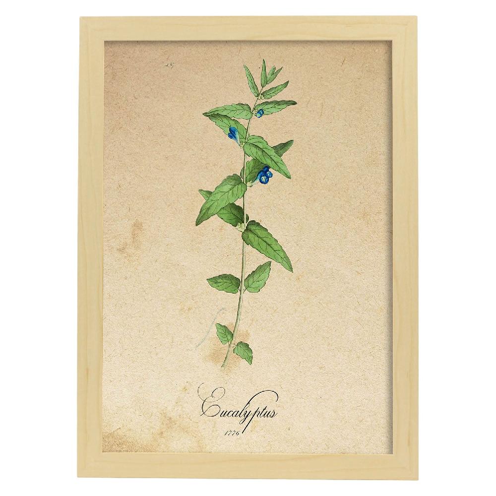 Nacnic Lámina Vintage De Flores Menta