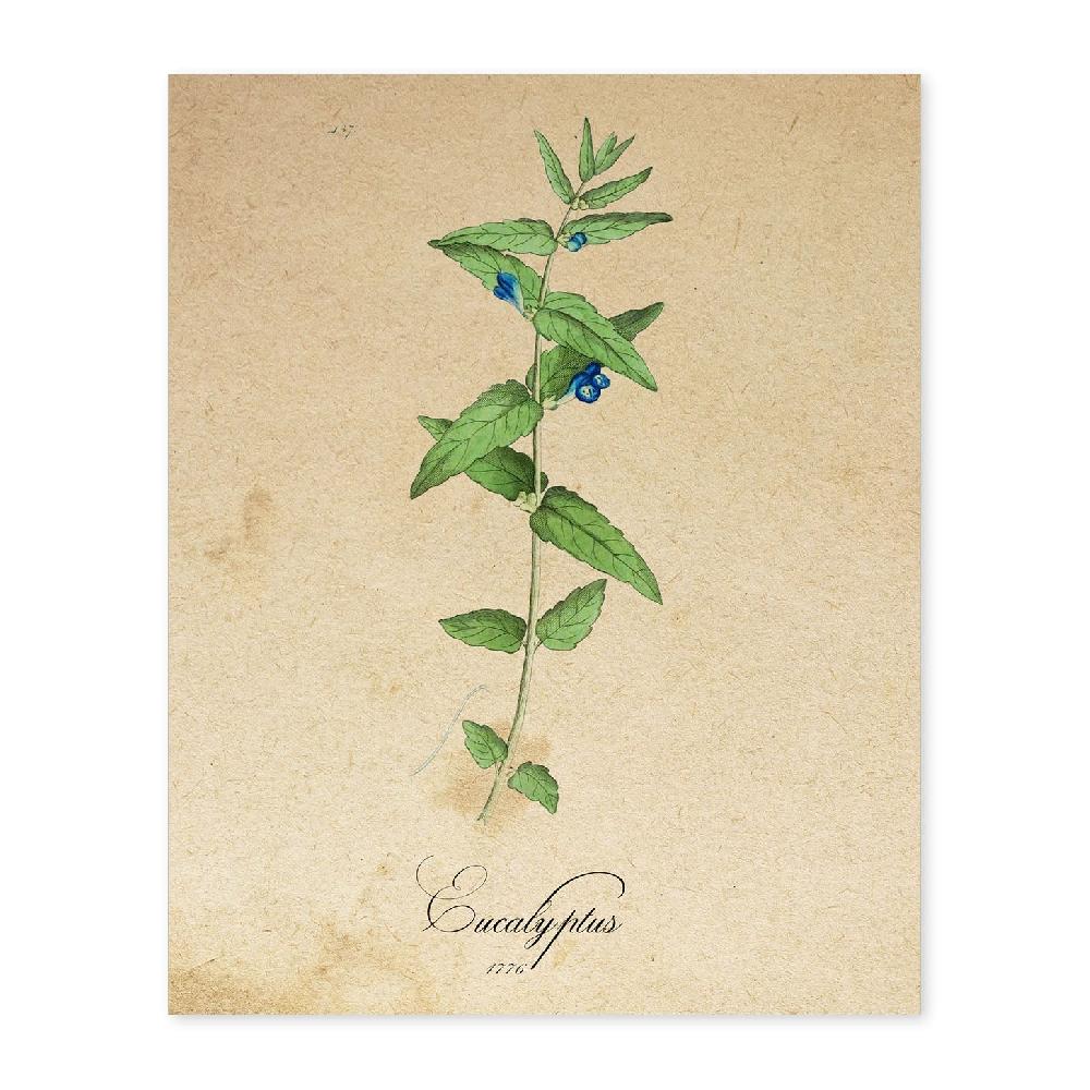nacnic Lámina Vintage de Flores Menta