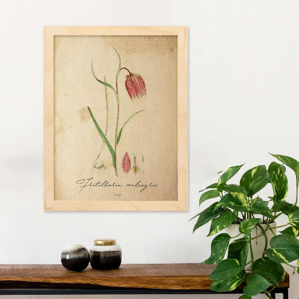 Nacnic Lámina Vintage De Flores Troutish Lilly