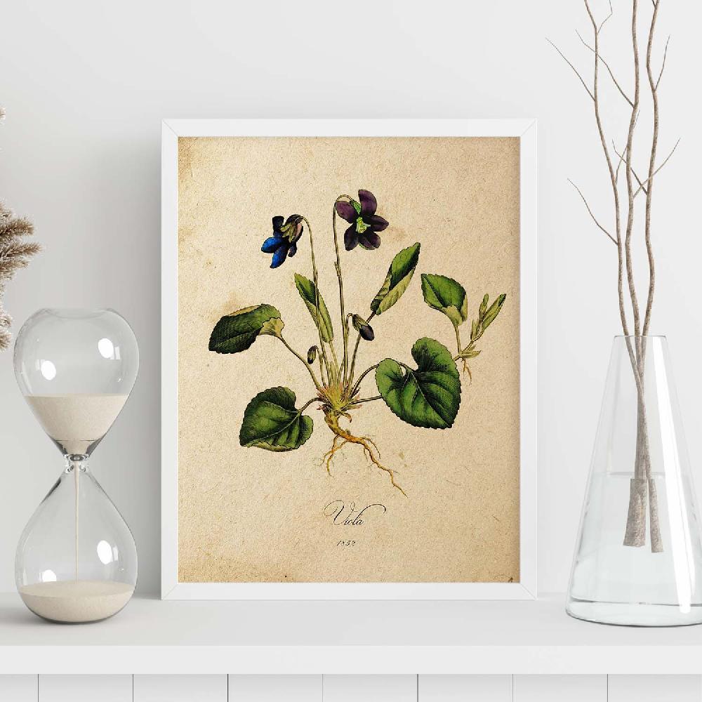 Nacnic Lámina Vintage De Flores Viola
