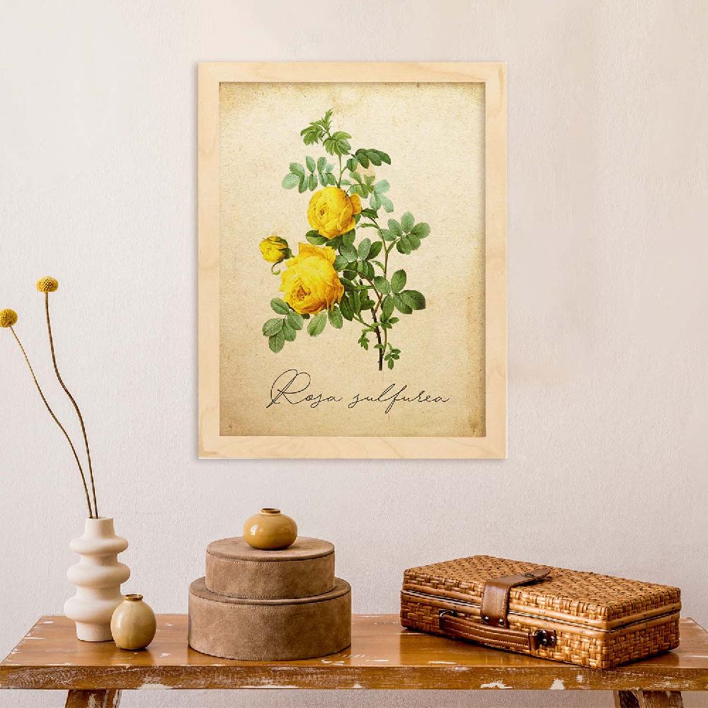 Nacnic Lámina Vintage De Hibiscus Rosa-Amarillo