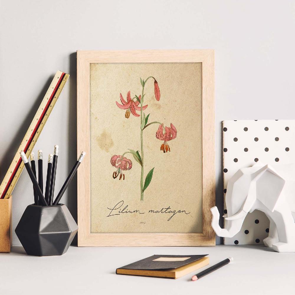 Nacnic Lámina Vintage De Lilium Asiatic