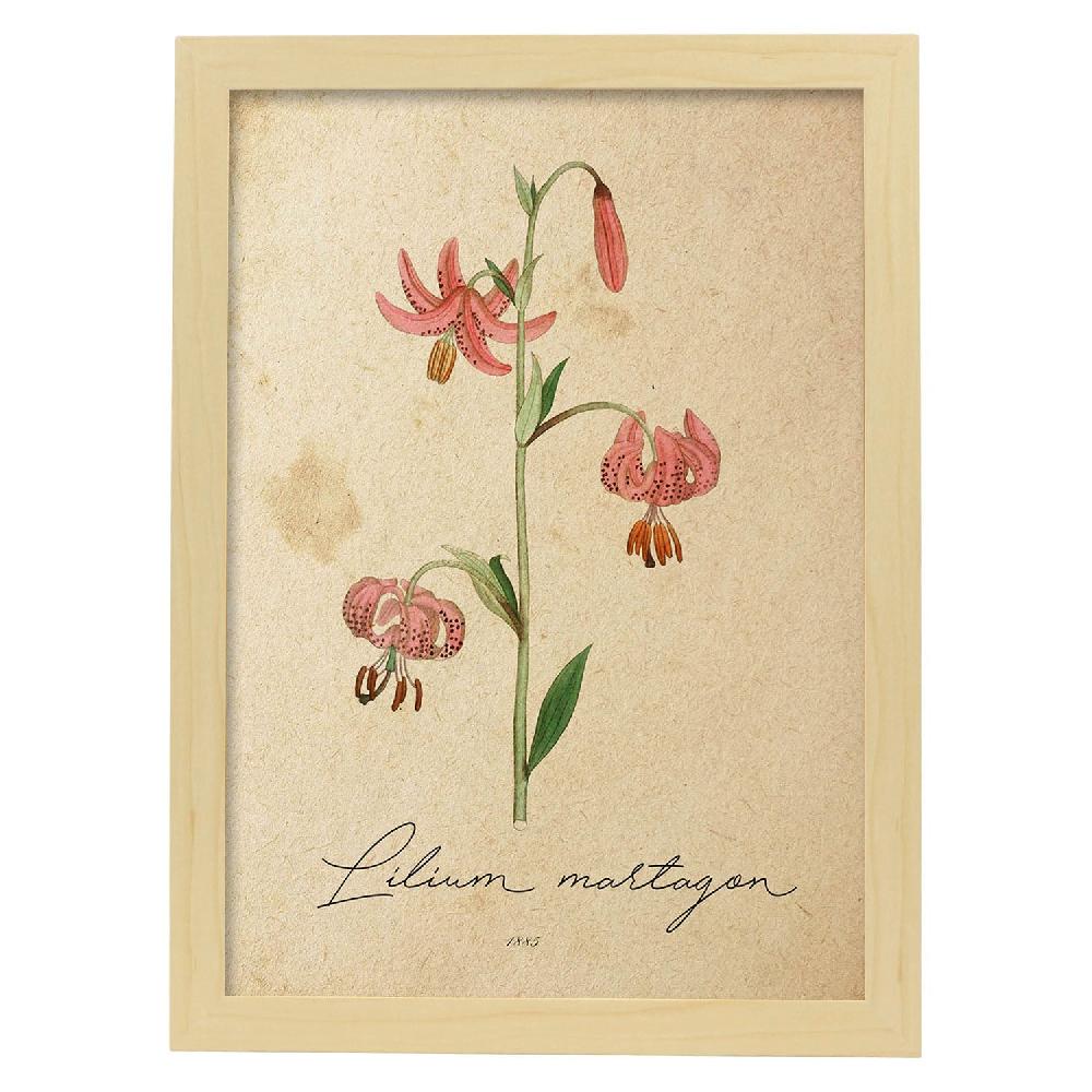 Nacnic Lámina Vintage De Lilium Asiatic