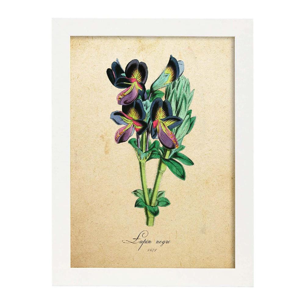 Nacnic Lámina Vintage De Lupin Negro