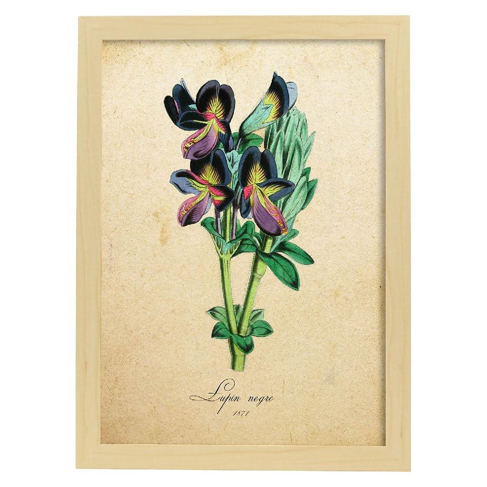 Nacnic Lámina Vintage De Lupin Negro